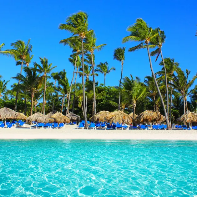 PUNTA CANA - ENERO 2027