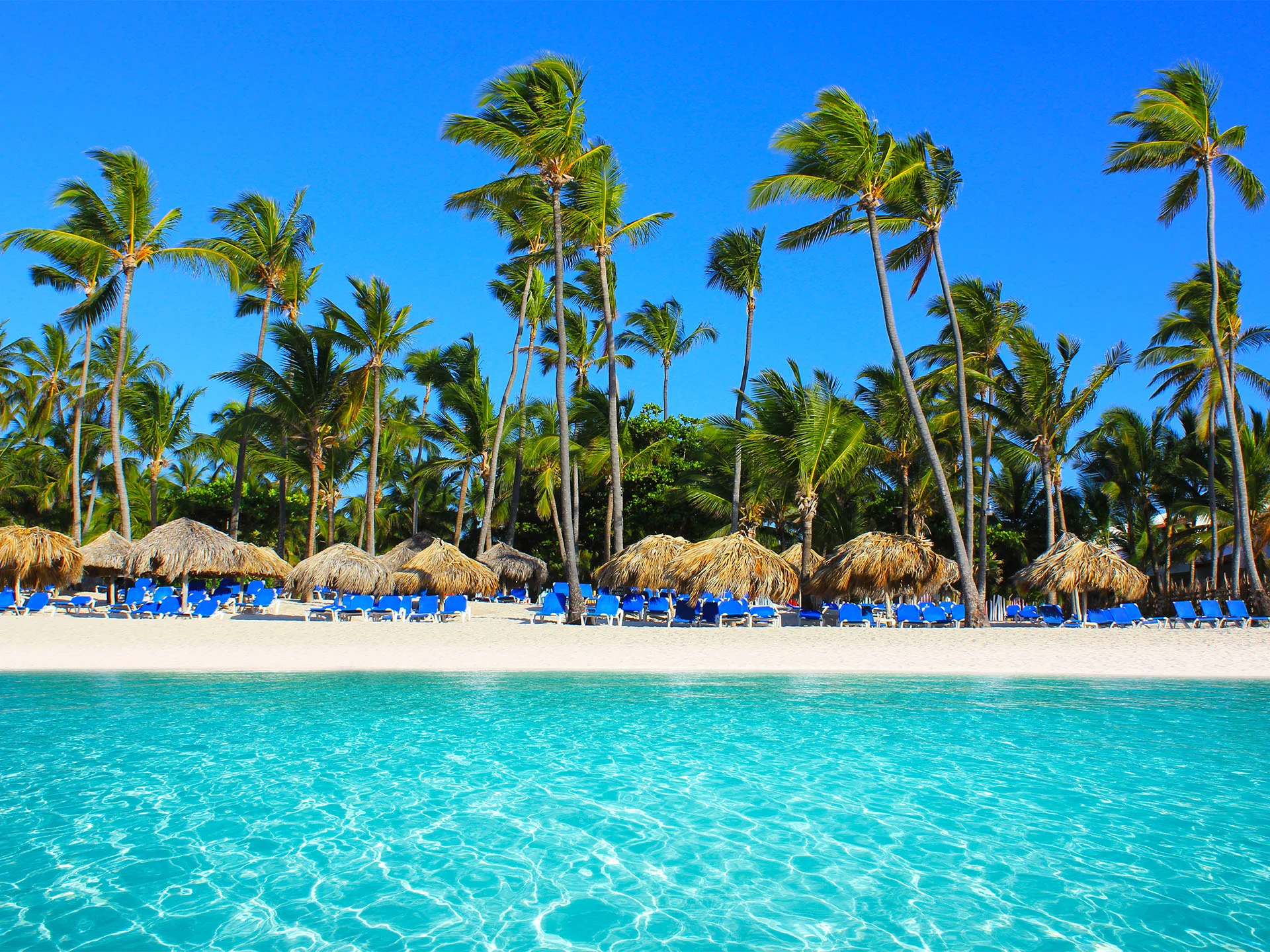 PUNTA CANA - ENERO 2027